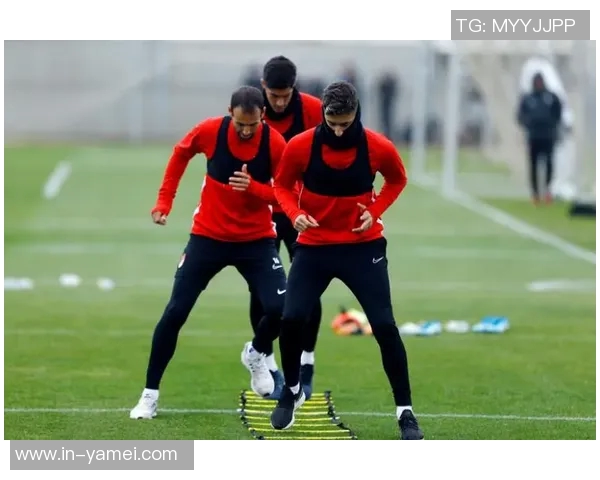 格拉纳达边锋费伊即将加盟葡萄牙体育转会费预计低于700万欧元